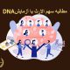 مطالبه سهم الارث با آزمایش DNA|دفتر حقوقی حق‌گرا